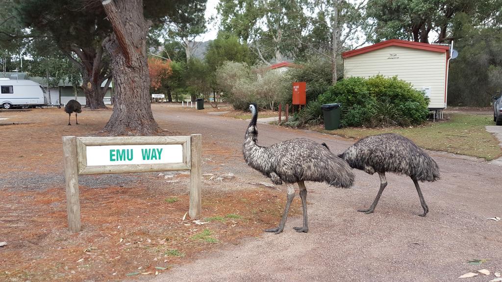 Breeze Holiday Parks - Grampians Halls Gap Exteriér fotografie